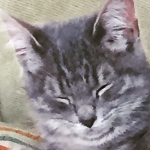 Meet your Posher, Peggy